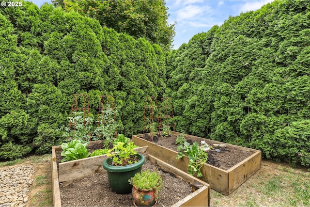 1018 S Holly Ct, Canby, OR 97013 - view of yard with a garden