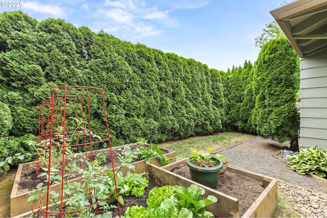 1018 S Holly Ct, Canby, OR 97013 - view of yard featuring a vegetable garden