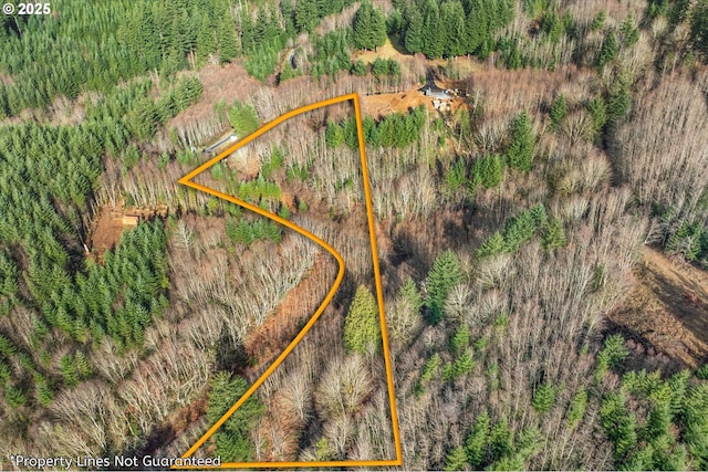 240 Central Valley Dr, Ariel WA, 98603 land for sale