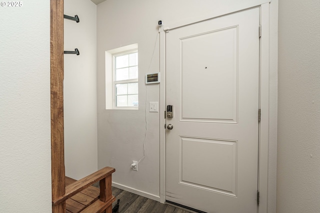 entryway featuring dark wood-type flooring