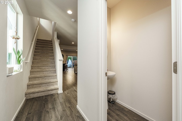 stairs featuring plenty of natural light and hardwood / wood-style floors