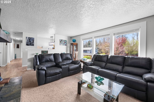 35363 Woodland Ln, Astoria, OR 97103 - living room with a textured ceiling, baseboards, and carpet