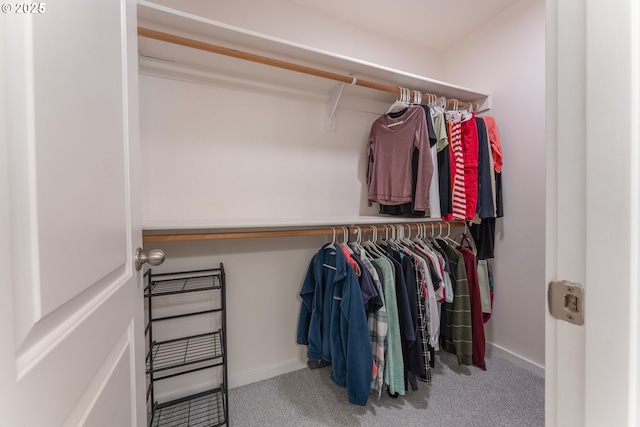 walk in closet featuring carpet floors