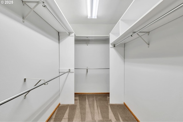 3870 Ashford Dr, Eugene, OR 97405 - walk in closet with carpet flooring