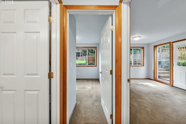 3870 Ashford Dr, Eugene, OR 97405 - hall with carpet floors and baseboards
