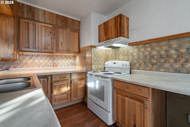 kitchen featuring sink, white range with electric stovetop, tasteful backsplash, and dark hardwood / wood-style floors