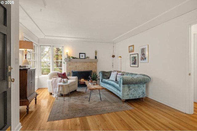 living room featuring light wood-style flooring and a fireplace