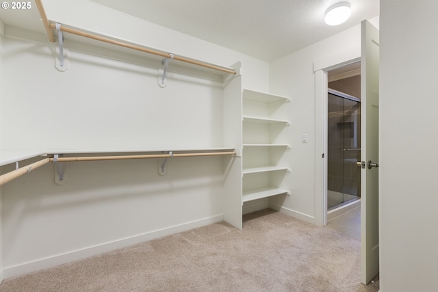 spacious closet with light carpet