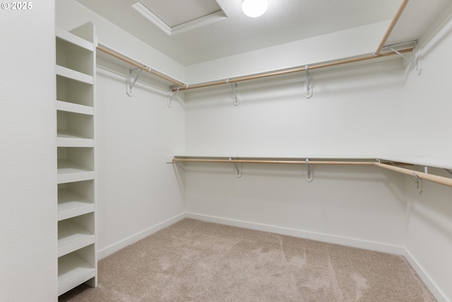 walk in closet featuring light carpet