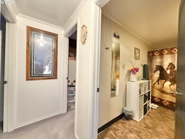 hallway with baseboards, carpet flooring, and crown molding