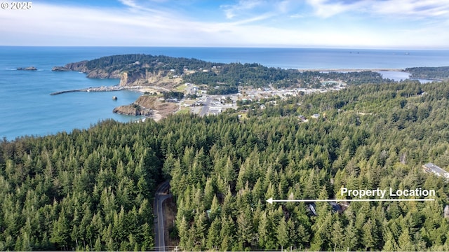 bird's eye view with a wooded view and a water view