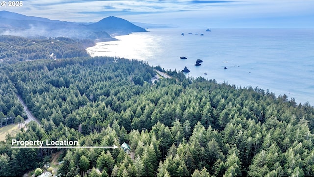 aerial view with a water and mountain view