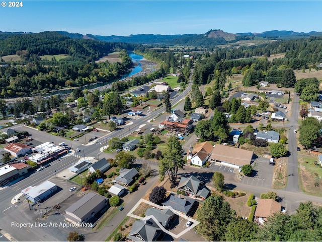 birds eye view of property with a water and mountain view and a wooded view