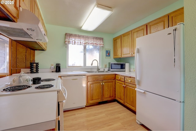 kitchen with white appliances, light wood-style flooring, light countertops, under cabinet range hood, and a sink