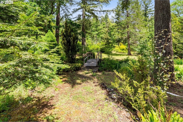 72794 Shoestring Rd, Cottage Grove, OR 97424 - view of yard with a view of trees