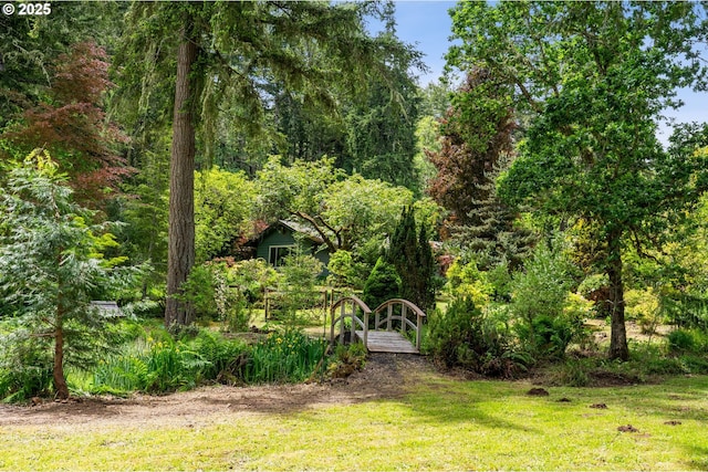 72794 Shoestring Rd, Cottage Grove, OR 97424 - view of grassy yard featuring a view of trees