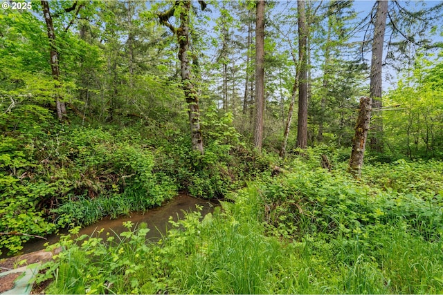 72794 Shoestring Rd, Cottage Grove, OR 97424 - view of nature