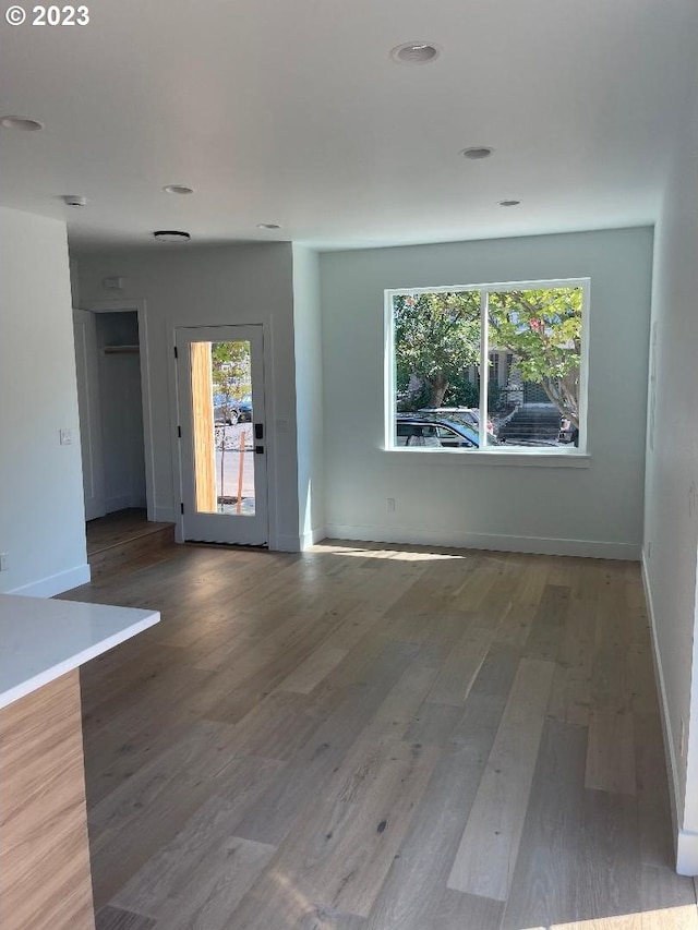 spare room with wood-type flooring