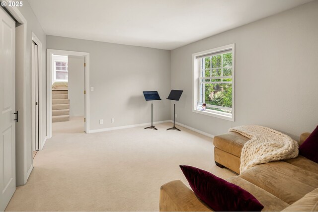 living area featuring baseboards and carpet