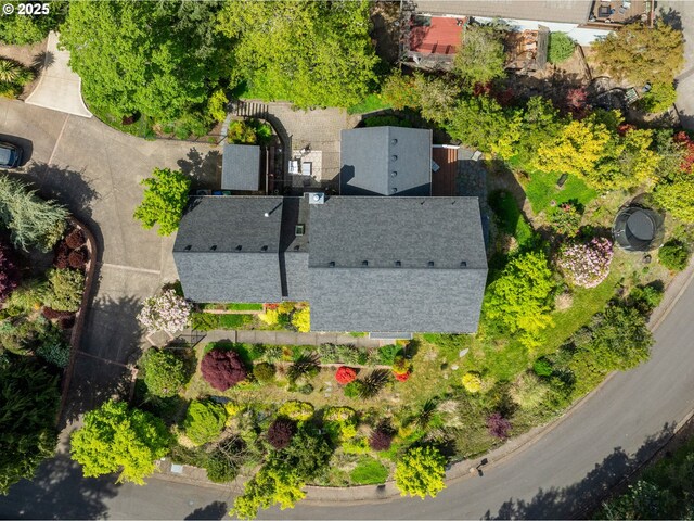 bird's eye view