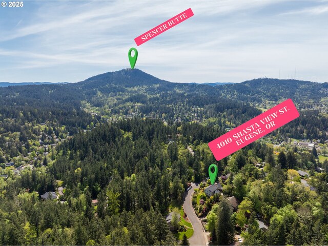 bird's eye view featuring a mountain view and a forest view