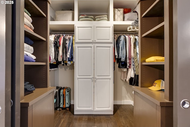 walk in closet featuring dark wood-style flooring