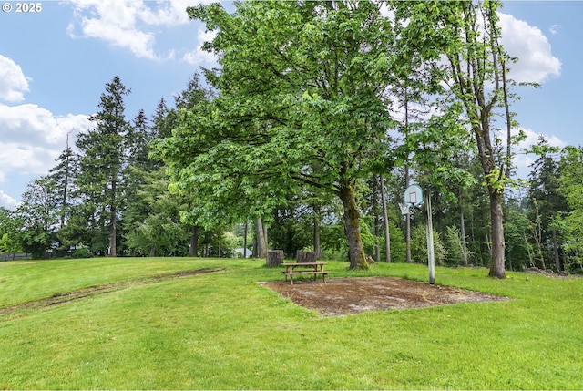 view of green lawn