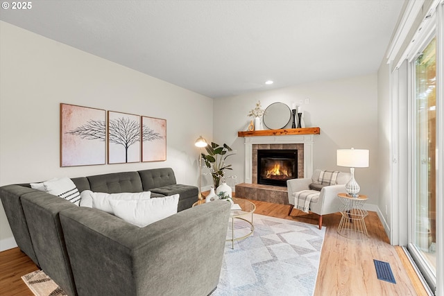 living room with a fireplace, hardwood / wood-style floors, and plenty of natural light