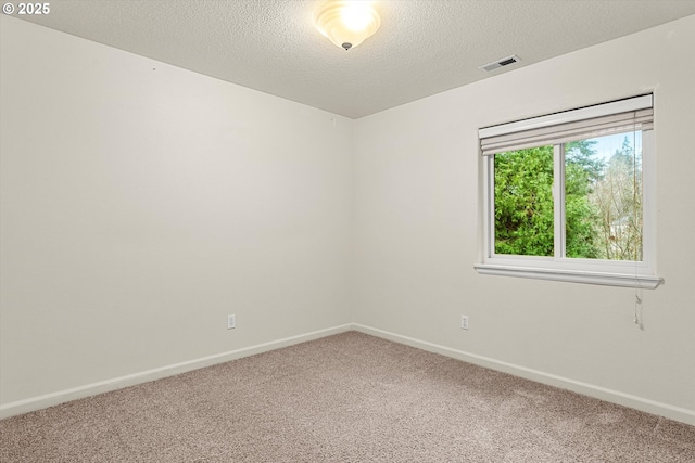 unfurnished room with carpet flooring and a textured ceiling