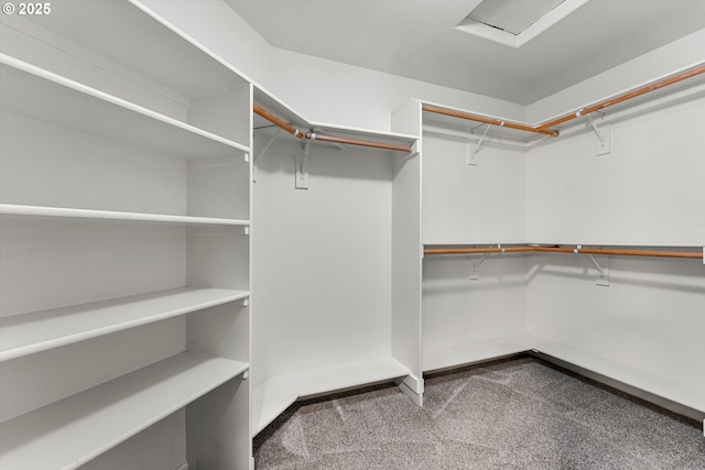 walk in closet with carpet flooring