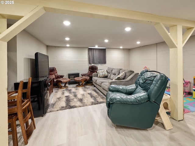 living room featuring light hardwood / wood-style floors