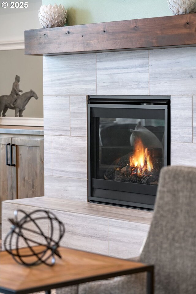 1825 NW Tanner Ct, Camas, WA 98607 - detailed view of a glass covered fireplace
