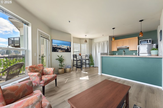 410 NW Uptown Ter Unit 3-B, Portland, OR 97210 - living room featuring light wood finished floors
