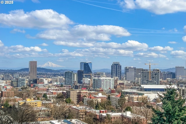 410 NW Uptown Ter Unit 3-B, Portland, OR 97210 - view of city with mountains