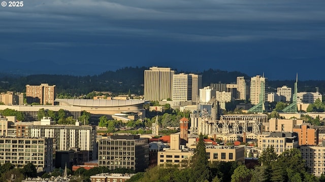 410 NW Uptown Ter Unit 3-B, Portland, OR 97210 - view of city