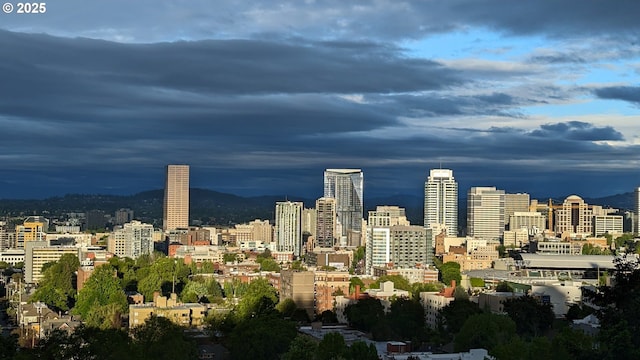410 NW Uptown Ter Unit 3-B, Portland, OR 97210 - view of city