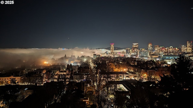 410 NW Uptown Ter Unit 3-B, Portland, OR 97210 - city view featuring a view of city lights