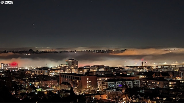 410 NW Uptown Ter Unit 3-B, Portland, OR 97210 - view of city with a view of city lights