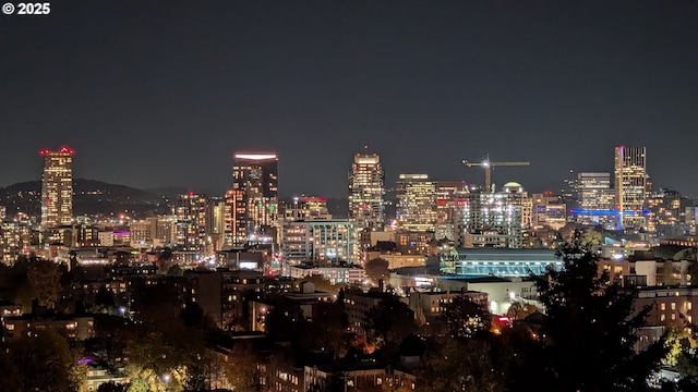 410 NW Uptown Ter Unit 3-B, Portland, OR 97210 - city view with a view of city lights