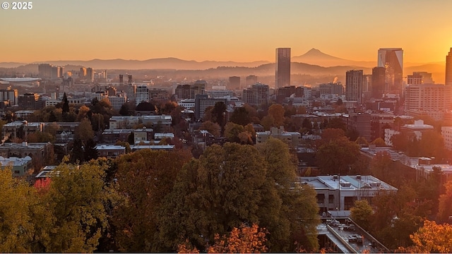 410 NW Uptown Ter Unit 3-B, Portland, OR 97210 - city view with mountains