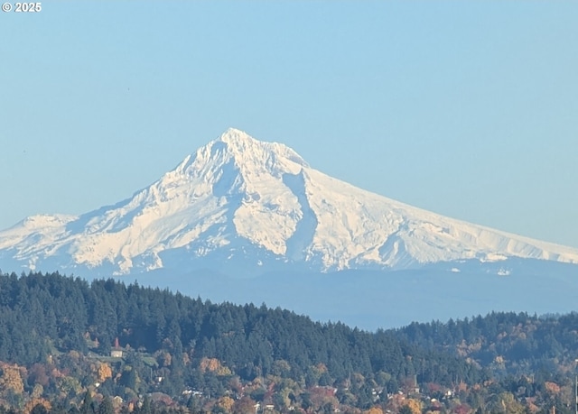 410 NW Uptown Ter Unit 3-B, Portland, OR 97210 - view of mountain background featuring a heavily wooded area