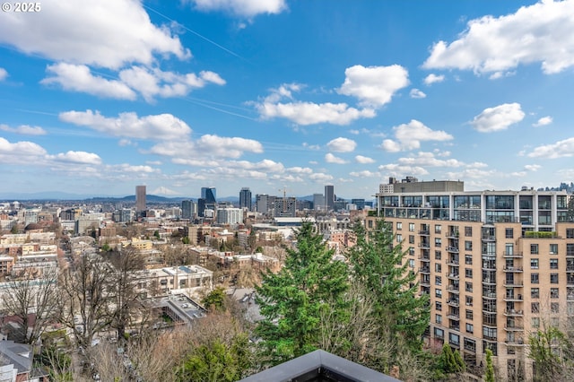 410 NW Uptown Ter Unit 3-B, Portland, OR 97210 - view of city