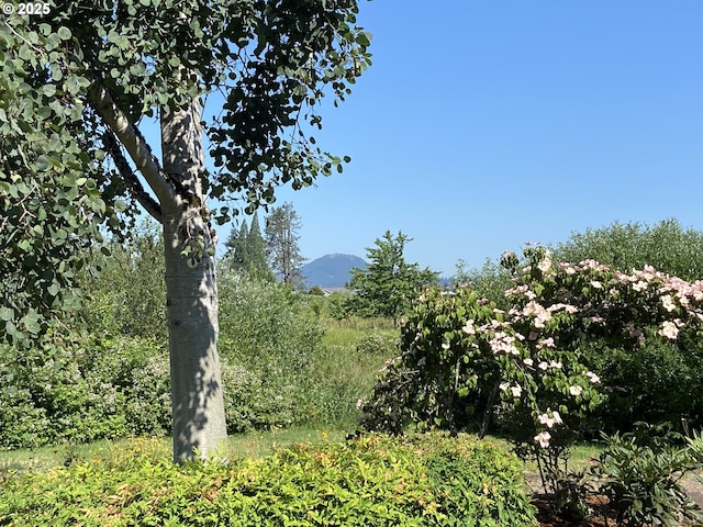625 St Andrews Loop, Creswell, OR 97426 - mountain view