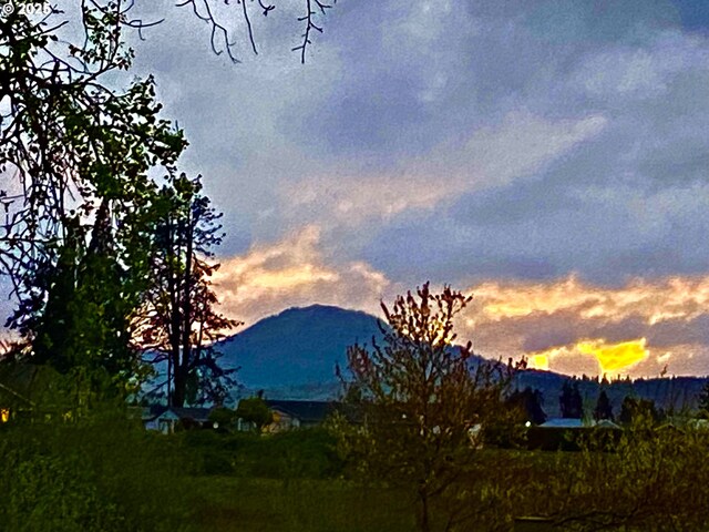 625 St Andrews Loop, Creswell, OR 97426 - mountain view