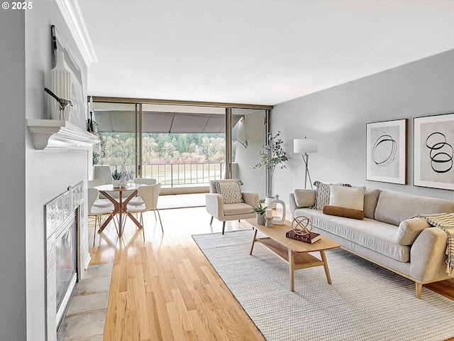 living area with a wall of windows, a glass covered fireplace, and light wood finished floors