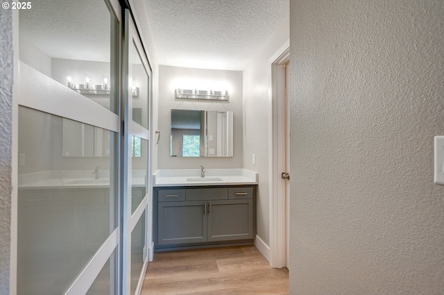 56 Galen St, Lake Oswego, OR 97035 - bathroom featuring wood finished floors, vanity, a textured wall, and a textured ceiling