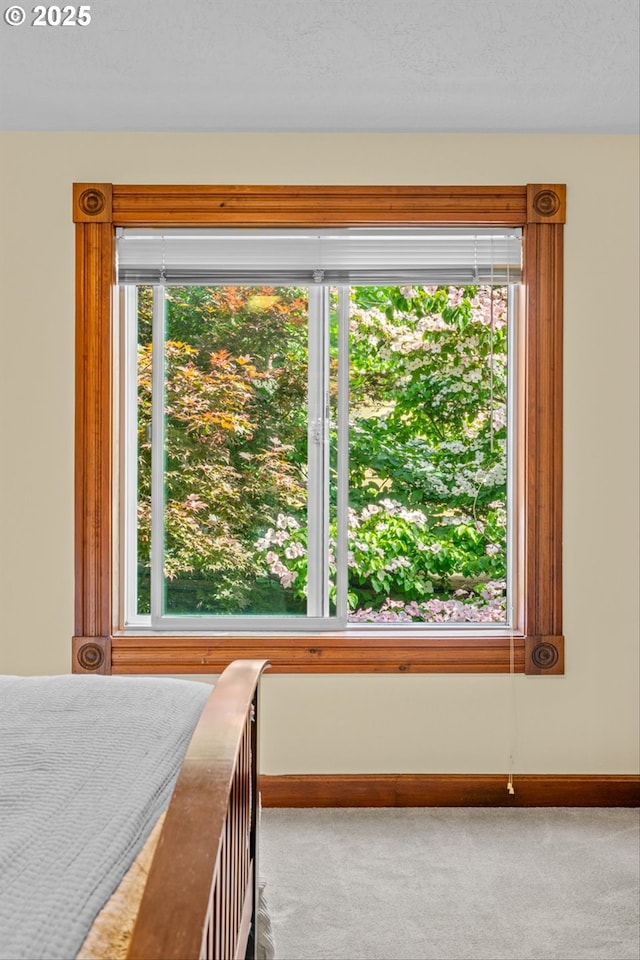 3147 SE Belmont St, Portland, OR 97214 - carpeted bedroom featuring multiple windows