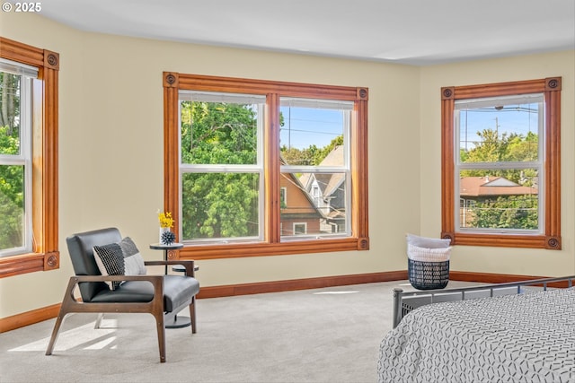 3147 SE Belmont St, Portland, OR 97214 - bedroom featuring carpet flooring and multiple windows