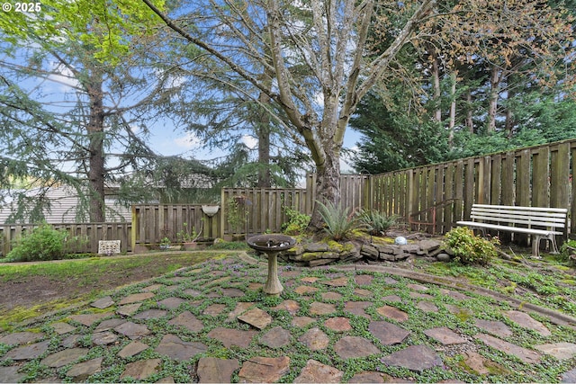view of yard with a patio and a fenced backyard