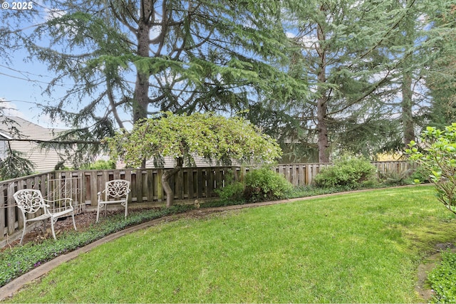 view of yard featuring a fenced backyard